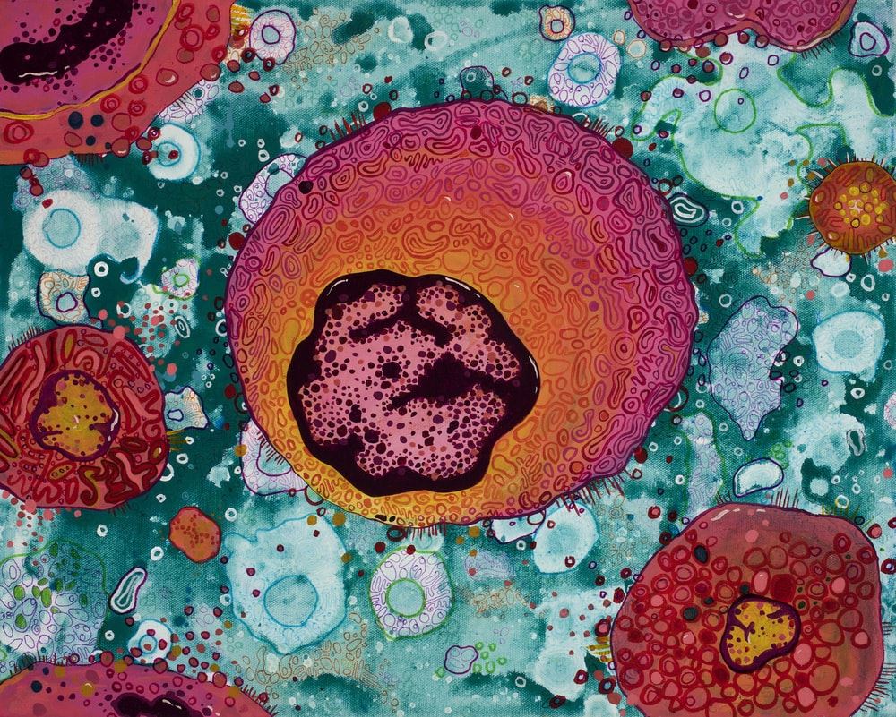 The 5 Most Common Cancer Causes