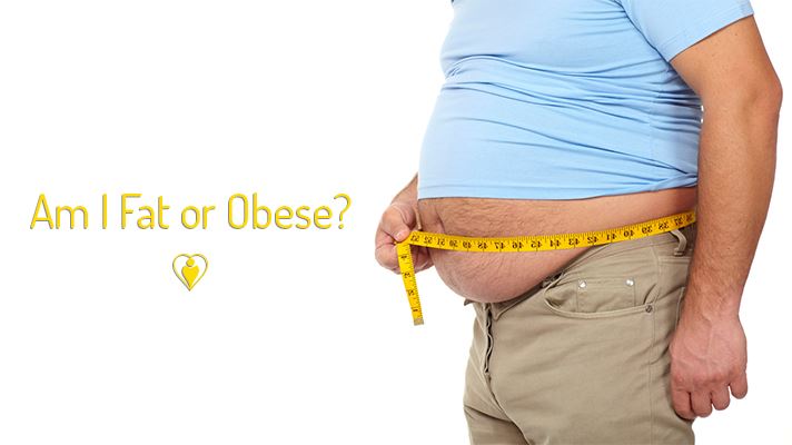 Am I Fat or Obese?