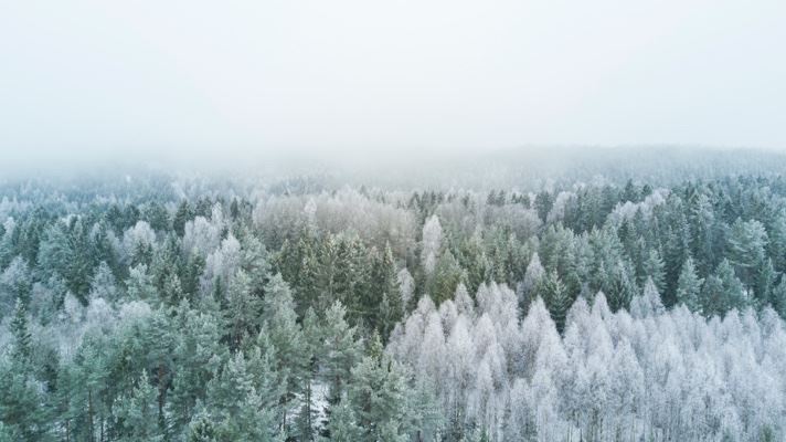 Cover image for 8 Best Healthy Activities During Winter