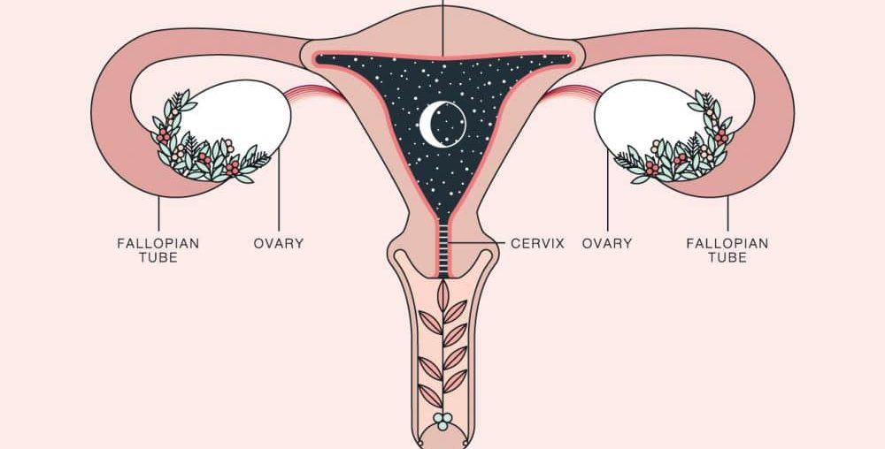 How Much Does Vaginoplasty Cost?