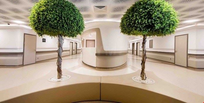 Dr. Cinik Clinica di Trapianto Capelli
